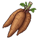 Mandioca