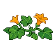 Floração
