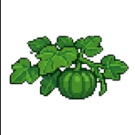 Frutificação