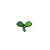 Germinação