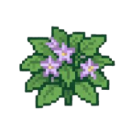 Floração