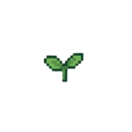 Germinação