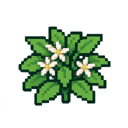 Floração