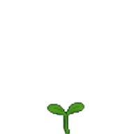 Germinação