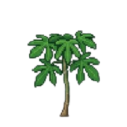 Floração