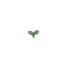 Germinação