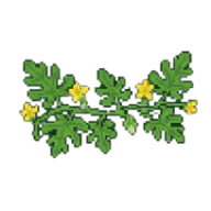 Floração