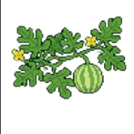 Frutificação
