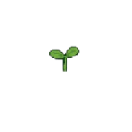 Germinação