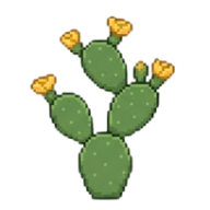 Floração