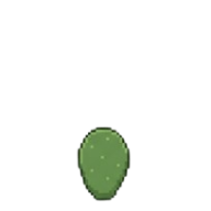 Germinação
