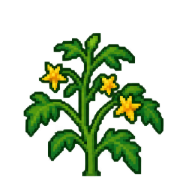 Floração