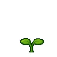Germinação