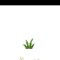 Germinação